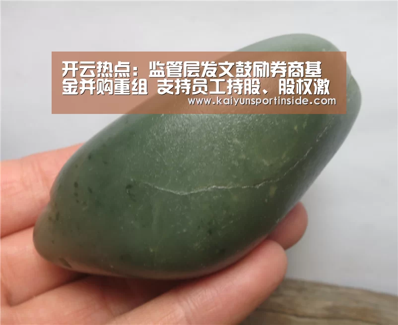 开云热点:监管层发文鼓励券商基金并购重组 支持员工持股、股权激励(图3) 开云推荐