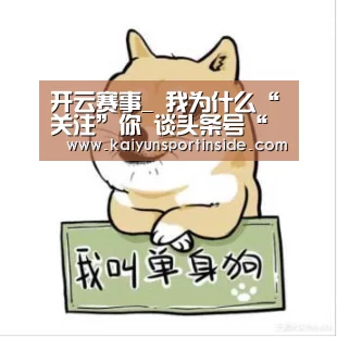 开云赛事_
我为什么“关注”你 谈头条号“关注”众生态(图4) 开云聚合