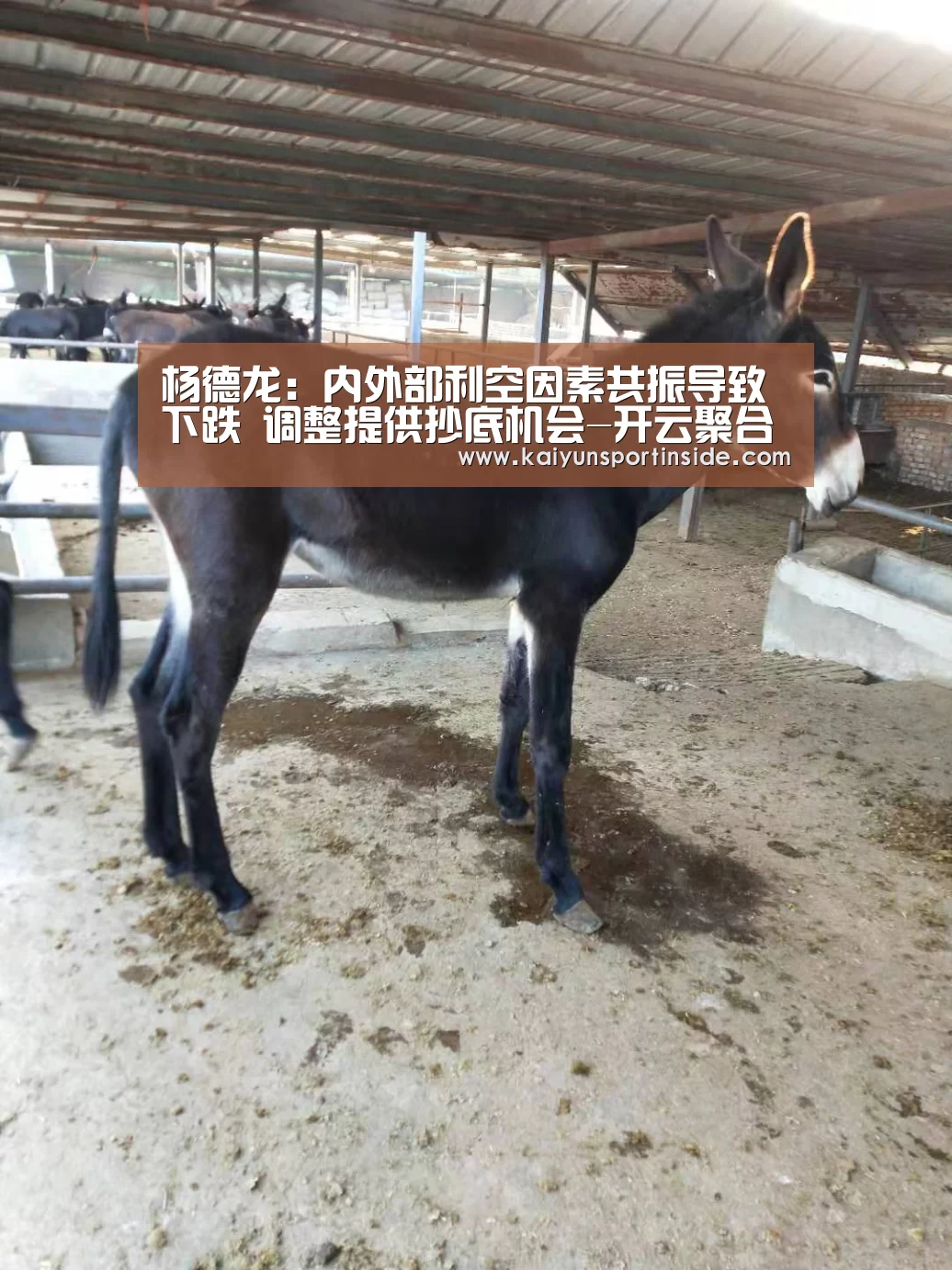 杨德龙:内外部利空因素共振导致下跌 调整提供抄底机会-开云聚合(图2) 开云聚合
