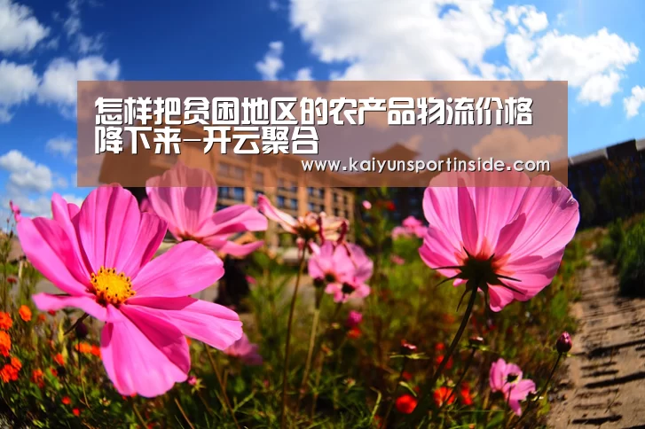 怎样把贫困地区的农产品物流价格降下来-开云聚合