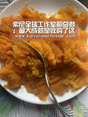 索尼全球工作室前总裁:最大成就是收购了这家工作室|开云赛事(图4) 开云热点